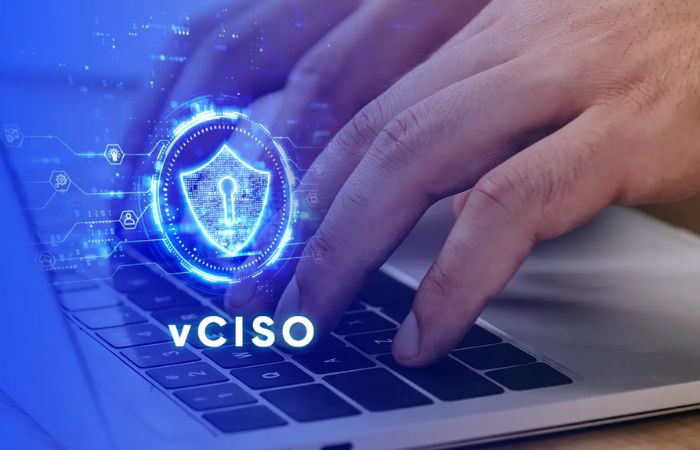 IPS Virtual CISO (vCISO) Services